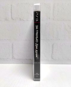 Beyond Two Souls За Гранью Две Души Полностью на русском BCES 01123 Видеоигра на диске PS3