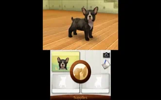 Nintendogs Cats French Bulldog and New Friends Французский бульдог и новые друзья Cats Полностью на русском Видеоигра на картридже 3DS