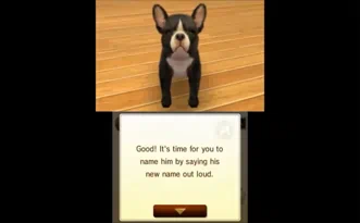 Nintendogs Cats French Bulldog and New Friends Французский бульдог и новые друзья Cats Полностью на русском Видеоигра на картридже 3DS