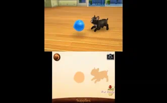 Nintendogs Cats French Bulldog and New Friends Французский бульдог и новые друзья Cats Полностью на русском Видеоигра на картридже 3DS
