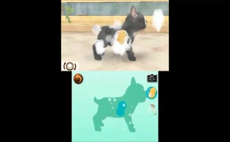 Nintendogs Cats French Bulldog and New Friends Французский бульдог и новые друзья Cats Полностью на русском Видеоигра на картридже 3DS