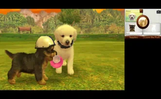 Nintendogs Cats Golden Retriever and New Friends Голден ретривер и новые друзья Cats Полностью на русском Видеоигра на картридже 3DS