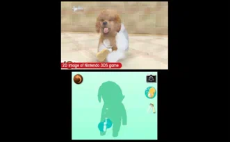 Nintendogs Cats Toy Poodle and New Friends Карликовый пудель и новые друзья Cats Полностью на русском Видеоигра на картридже 3DS