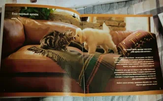 Nintendogs Cats Toy Poodle and New Friends Карликовый пудель и новые друзья Cats Полностью на русском Видеоигра на картридже 3DS