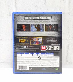 Life is Strange 2 Русские субтитры CUSA 17086 Видеоигра на диске PS4 / PS5