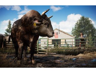 Far Cry 5 Полностью на русском CUSA 05848 Видеоигра на диске PS4 / PS5