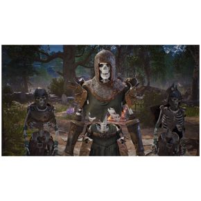 Kings Bounty 2 Издание Первого Дня Полностью на русском CUSA 26098 Видеоигра на диске PS4 / PS5