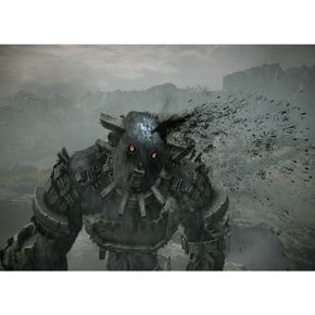 Shadow Of The Colossus Русские субтитры CUSA 08809 Видеоигра на диске PS4 / PS5