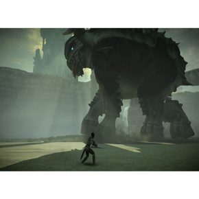 Shadow Of The Colossus Русские субтитры CUSA 08809 Видеоигра на диске PS4 / PS5
