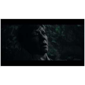 The Dark Pictures Little Hope Полностью на русском CUSA 17885 Видеоигра на диске PS4 / PS5