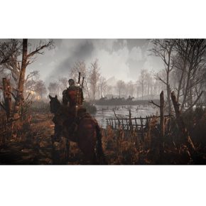 The Witcher Wild Hunt 3 GOTY Ведьмак 3 Дикая Охота Игра Года Русские субтитры CUSA 05571 Видеоигра на диске PS4 / PS5