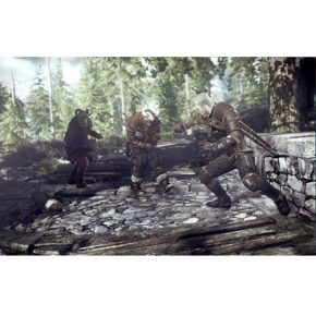 The Witcher Wild Hunt 3 GOTY Ведьмак 3 Дикая Охота Игра Года Русские субтитры CUSA 05571 Видеоигра на диске PS4 / PS5