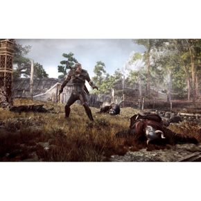 The Witcher Wild Hunt 3 GOTY Ведьмак 3 Дикая Охота Игра Года Русские субтитры CUSA 05571 Видеоигра на диске PS4 / PS5