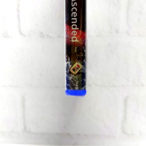 ARK Survival Ascended Русские субтитры PPSA 17101 Видеоигра на диске PS5