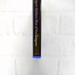 Double Dragon Gaiden Rise of the Dragons Английский язык PPSA 16019 Видеоигра на диске PS5