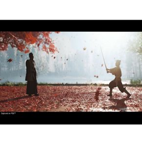 Ghost Of Tsushima Director Cuts Призрак Цусимы Режиссерская версия Полностью на русском PPSA 03208 Видеоигра на диске PS5