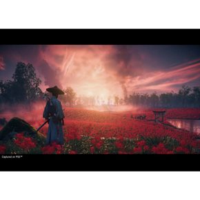 Ghost Of Tsushima Director Cuts Призрак Цусимы Режиссерская версия Полностью на русском PPSA 03208 Видеоигра на диске PS5