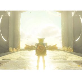 The Legend of Zelda Tears of The Kingdom Полностью на русском Видеоигра на картридже Nintendo Switch