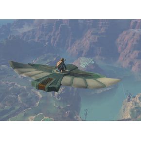 The Legend of Zelda Tears of The Kingdom Полностью на русском Видеоигра на картридже Nintendo Switch