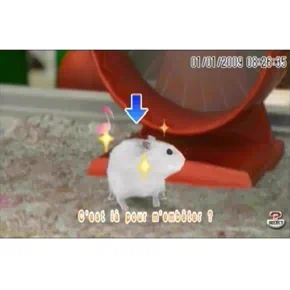 Petz My Baby Hamster Английский язык ULES 01266 Видеоигра на диске PSP