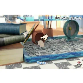 Petz My Baby Hamster Английский язык ULES 01266 Видеоигра на диске PSP